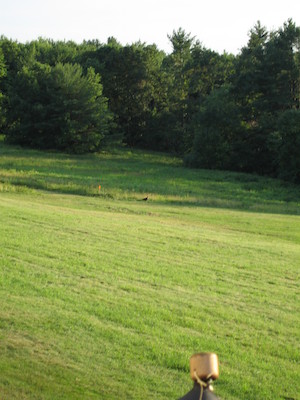 Turkey? (07-03-2005 20:21)