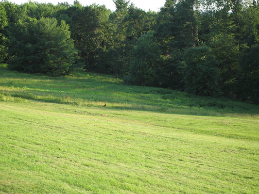 Turkey? (07-03-2005 20:22)