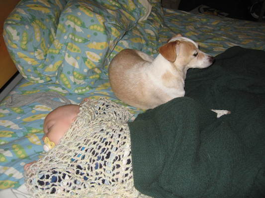 Cole napping, Emily guarding (09-08-2005 16:13)