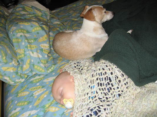 Cole napping, Emily guarding (09-08-2005 16:13)